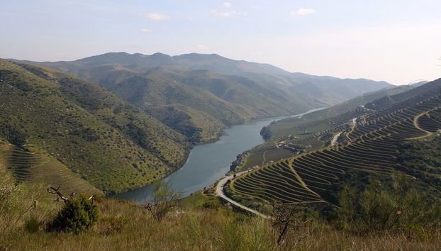 Balade en kayak sur le Côa - Photo 4