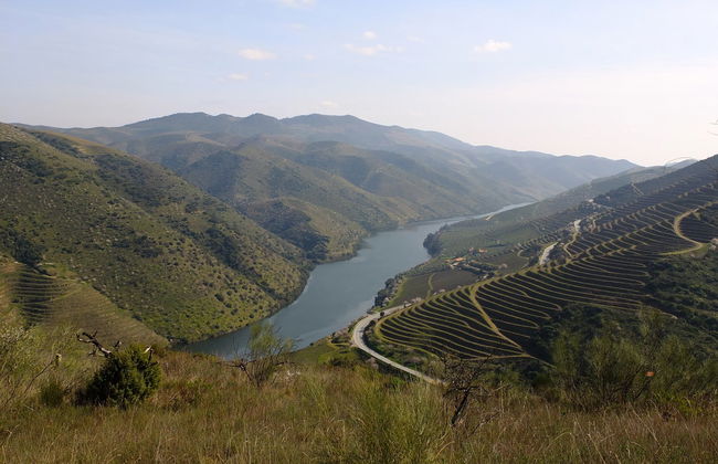 Tour en kayak por el río Coa - Foto 4