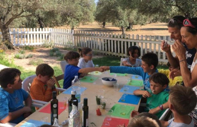 Visita a una almazara y su olivar + Cata de aceite - Foto 4