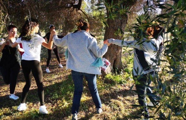 Visita a una almazara y su olivar + Cata de aceite - Foto 2