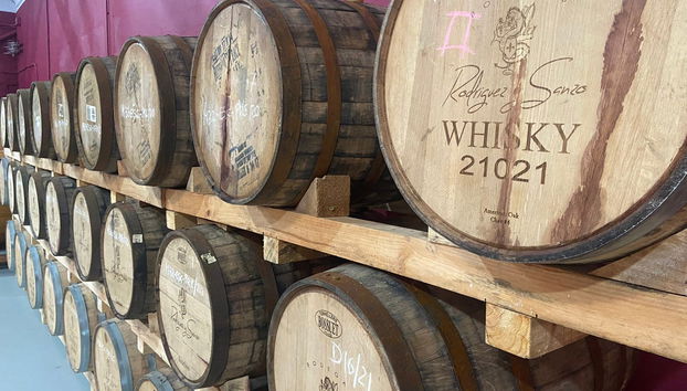 Visita a las bodegas Rodríguez y Sanzo de Toro - Foto 4