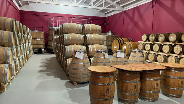 Visita a las bodegas Rodríguez y Sanzo de Toro - Foto 2
