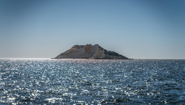 Dakhla Catamaran Trip - Foto 3
