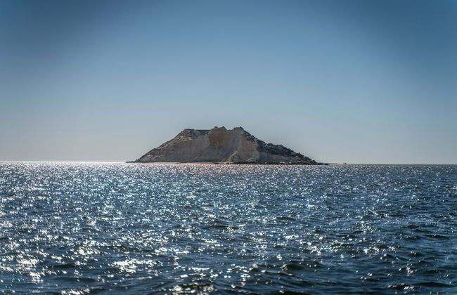 Paseo en catamarán por Dajla - Foto 3
