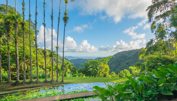 Transporte al Jardín Botánico de Balata - Foto 2