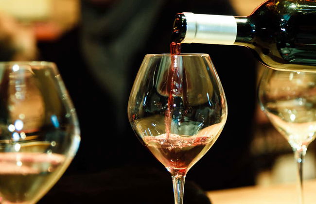 Castelo Saint Andrews Hotel Tour + Wine Tasting - Photo 7