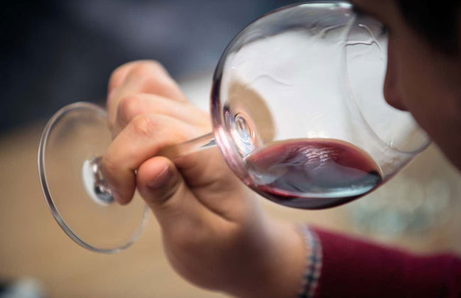 Castelo Saint Andrews Hotel Tour + Wine Tasting - Photo 6