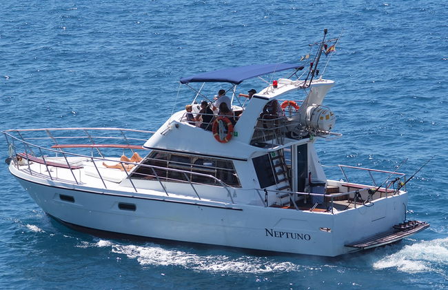 A bordo del Neptuno - Tour de medio día - Foto 2
