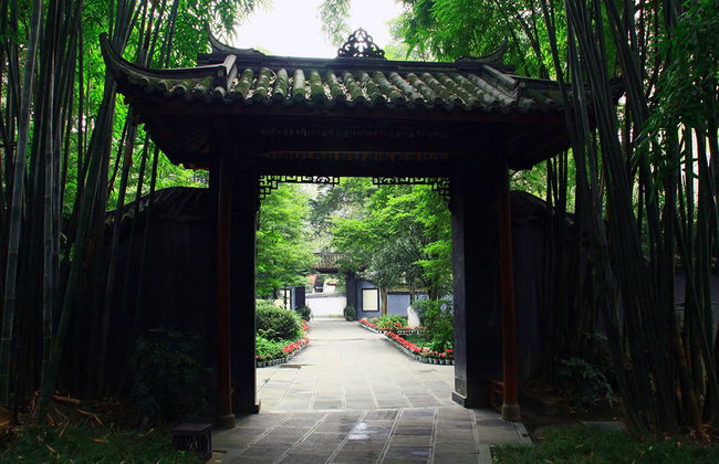 Full Day Panda Hometown and Taoist Mountain - Private - Photo 3