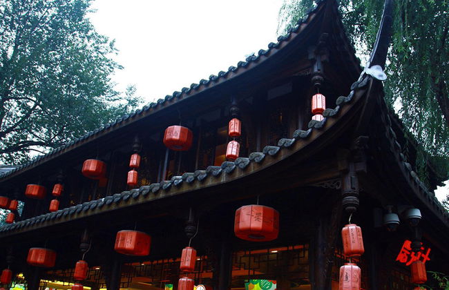 Full Day Panda Hometown and Taoist Mountain - Private - Photo 4