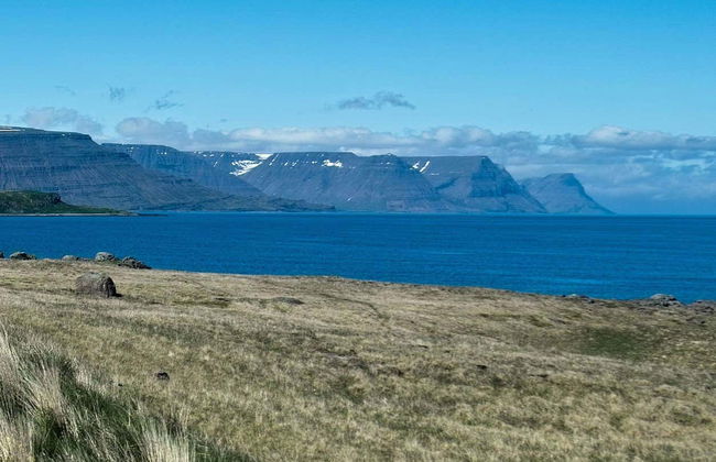 Isafjordur Fjord Whale Watching - Foto 6