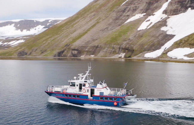 Avistamiento de ballenas en Isafjordur - Foto 6