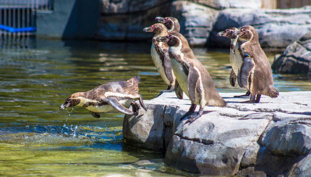 Manchester Tourist Pass - Photo 2