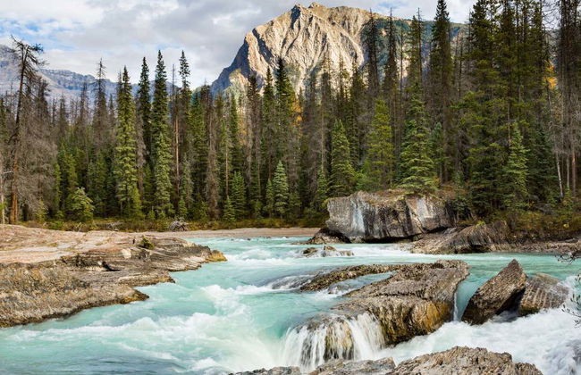 Tour por los lagos del Parque Nacional Banff - Foto 5