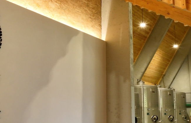 Visita a la bodega María Manuela - Foto 7
