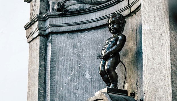 Day Trip to Brussels and Bruges - Foto 4