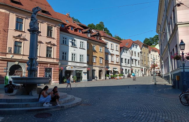 Ljubljana Free Tour - Photo 1