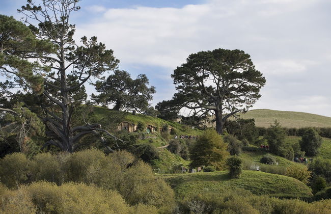 Hobbiton Day Trip - Photo 2