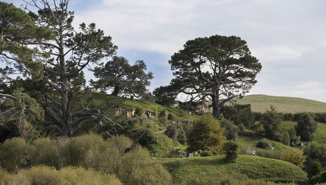 Excursion à Hobbiton - Photo 1