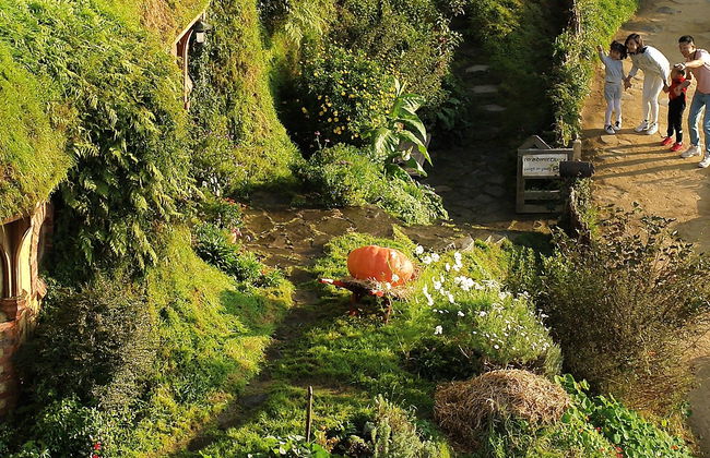 Hobbiton Day Trip - Photo 8