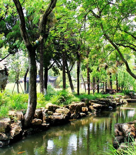 Foto de Descubra la famosa ciudad sobre el agua de Zhujiajiao - Excursión de medio día