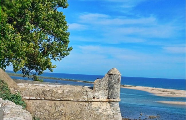 Excursión a Faro, Olhão y Tavira - Foto 4
