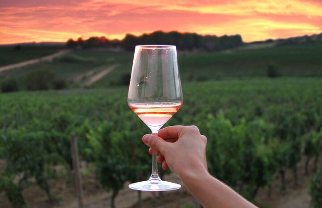 Discover the wine producers of Emilia Romagna - Foto 12