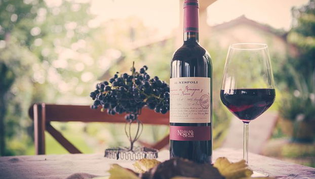 Découvrez les producteurs de vin d'Émilie-Romagne - Photo 4