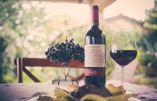 Discover the wine producers of Emilia Romagna - Foto 4