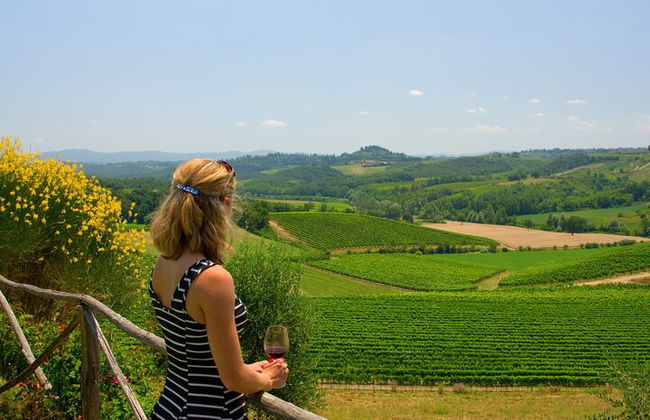 Discover the wine producers of Emilia Romagna - Foto 1