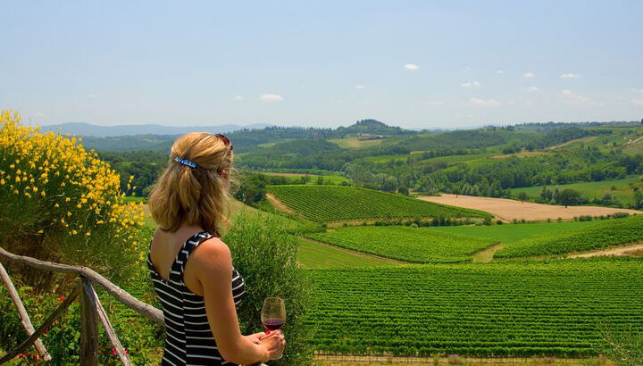 Découvrez les producteurs de vin d'Émilie-Romagne - Photo 1
