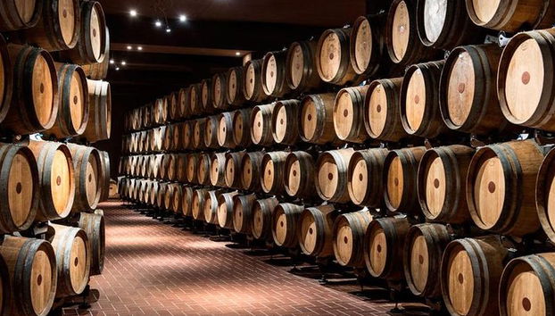 Découvrez les producteurs de vin d'Émilie-Romagne - Photo 5