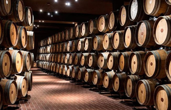 Discover the wine producers of Emilia Romagna - Foto 5