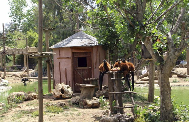 Billet d'entrée au Zoo de Lagos - Photo 2