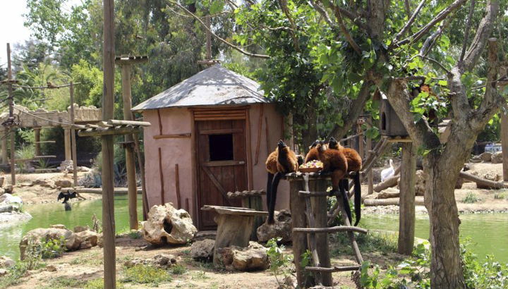 Zoo de Lagos