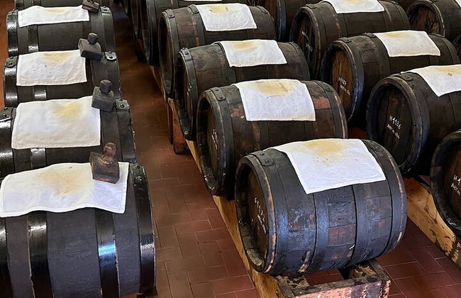 Ab Bologna: Parmesankäse- und Balsamico-Essig-Tour + Mittagessen - Foto 6