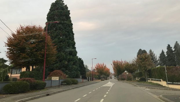 Taxi conductor privado Estrasburgo - Molsheim - Foto 3