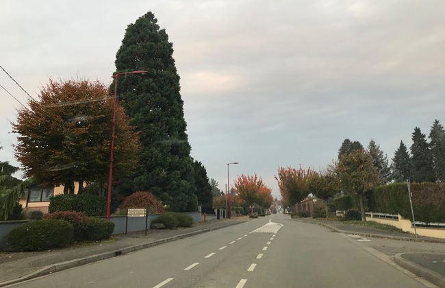 Taxi conductor privado Estrasburgo - Molsheim - Foto 3