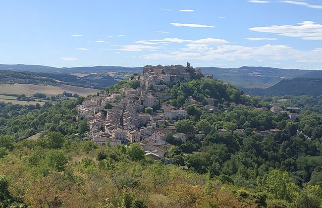 Albi und Cordes sur Ciel Private Tagestour von Toulouse - Foto 1