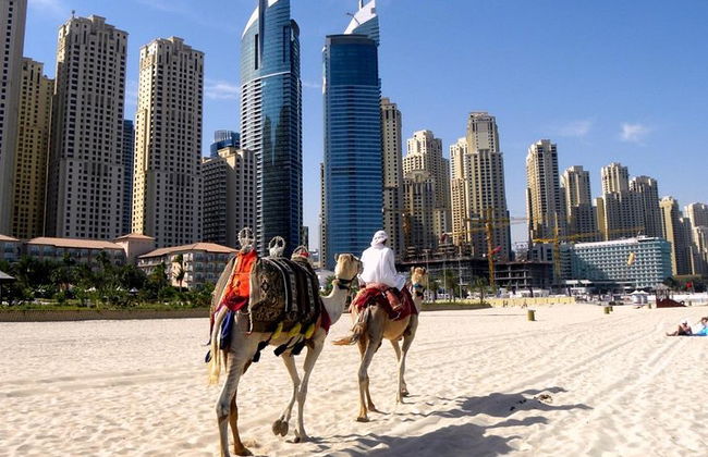Dubai Modern & Classic City Tour - Foto 14
