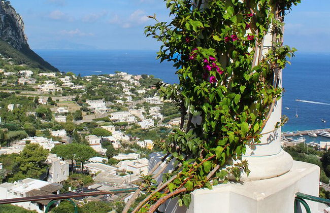 Capri-Rundgang mit Ortskundiger Reiseleiter - Foto 11