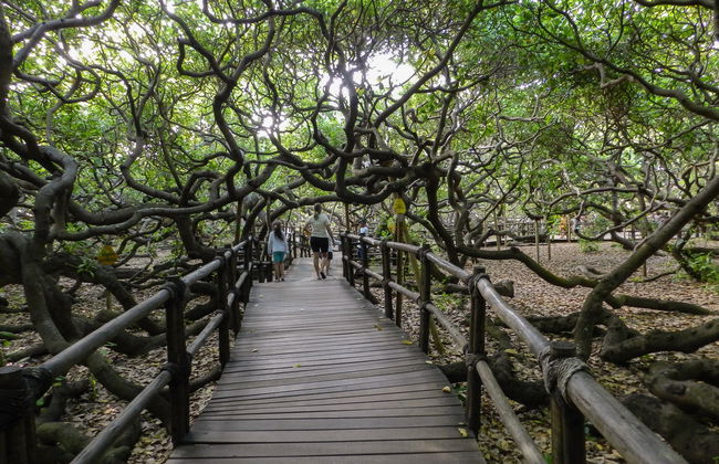 Rota dos Nativos 4x4 Tour - Photo 3