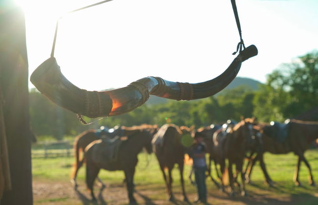 Paseo a caballo por las haciendas de Bonito - Foto 4