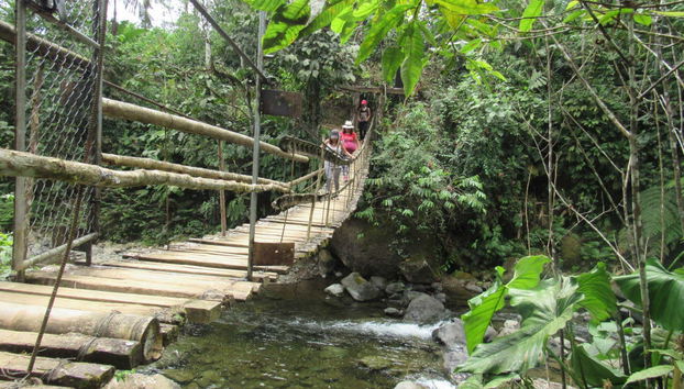 Excursion dans la province de Saint-Domingue de los Tsáchilas - Photo 4