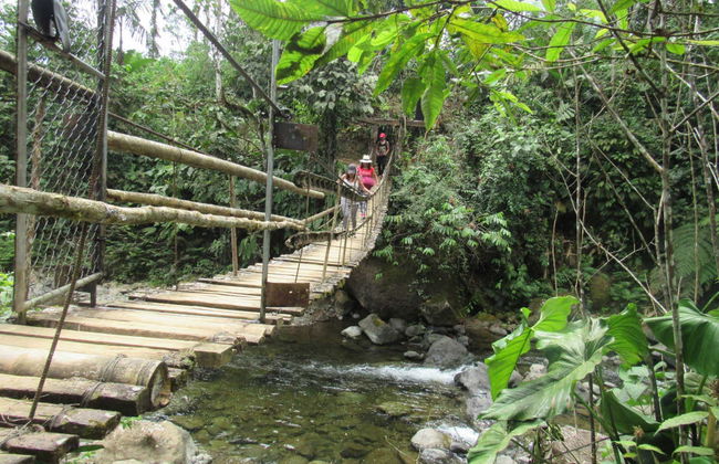 Excursión a la provincia de Santo Domingo de los Tsáchilas - Foto 4