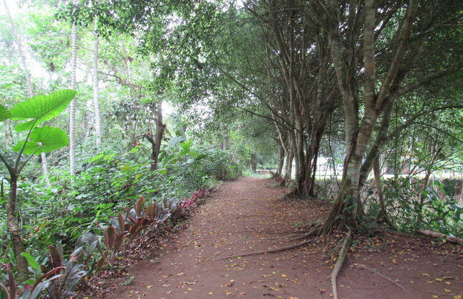 Excursión a la provincia de Santo Domingo de los Tsáchilas - Foto 5