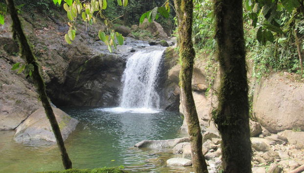 Santo Domingo de Los Tsachilas Day Trip - Foto 2