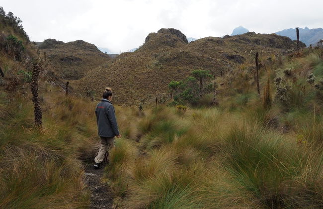 Cajas National Park Hiking Activity - Foto 1
