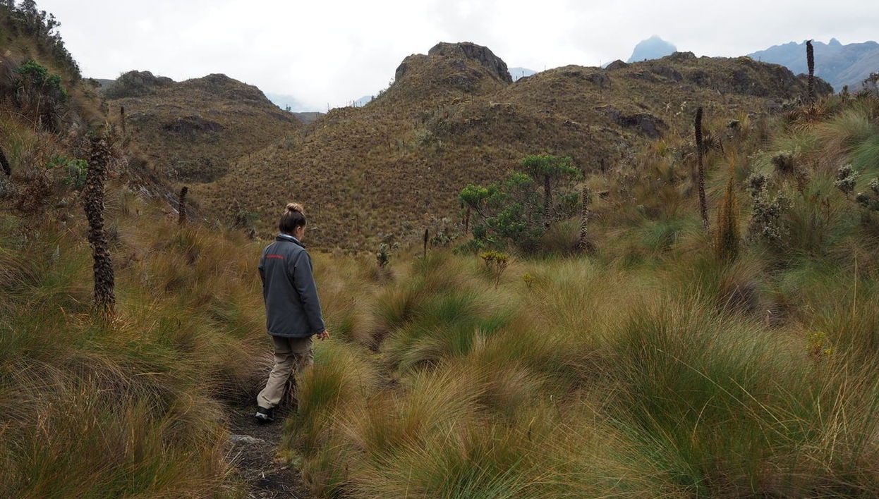 Senderismo por el Parque Nacional Cajas - Foto 1