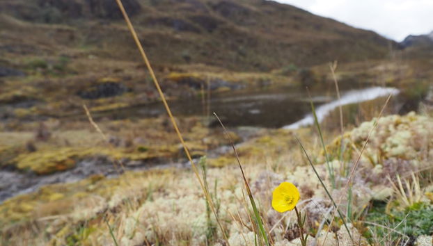 Senderismo por el Parque Nacional Cajas - Foto 3